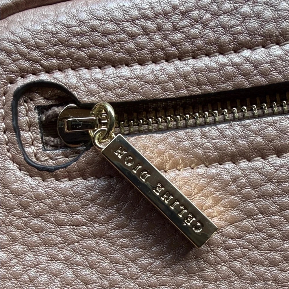 Céline Dion Collection Pebbled Leather Crossbody Bag in Blush Taupe - Picture 5 of 14